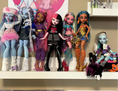 Artist spotlight dolls